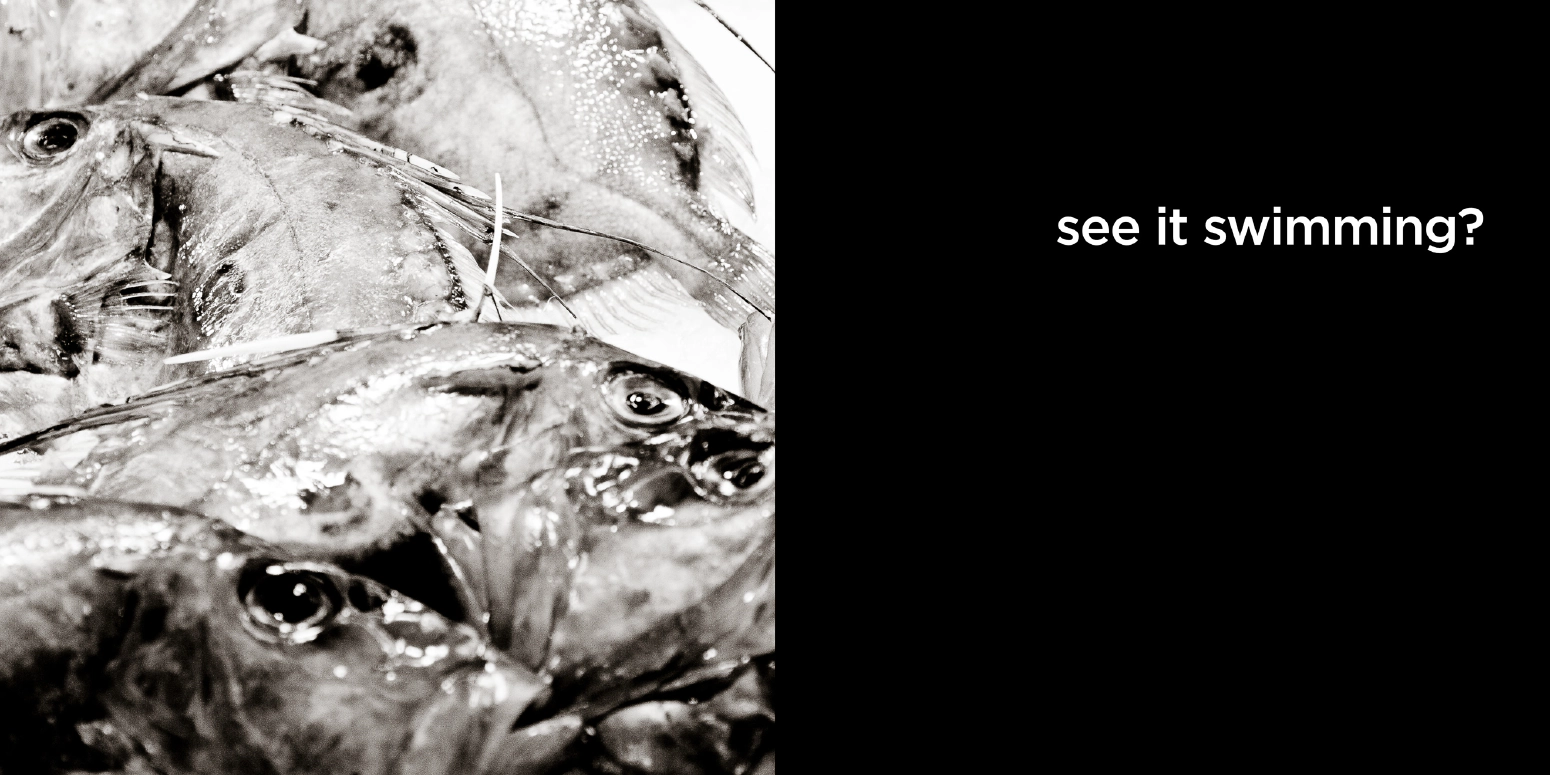 see it swimming?