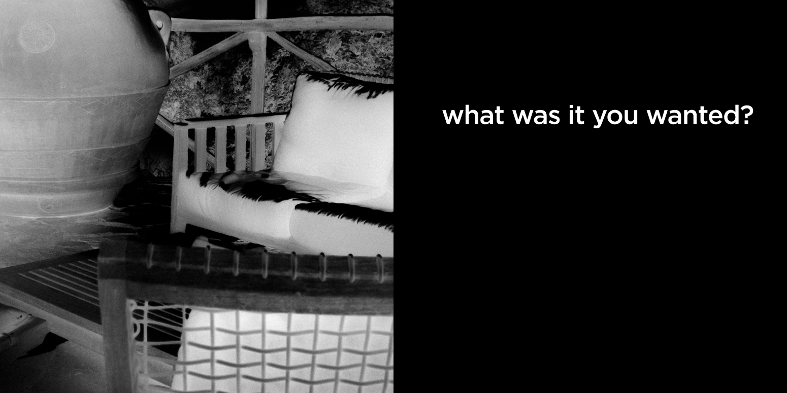 what was it you wanted