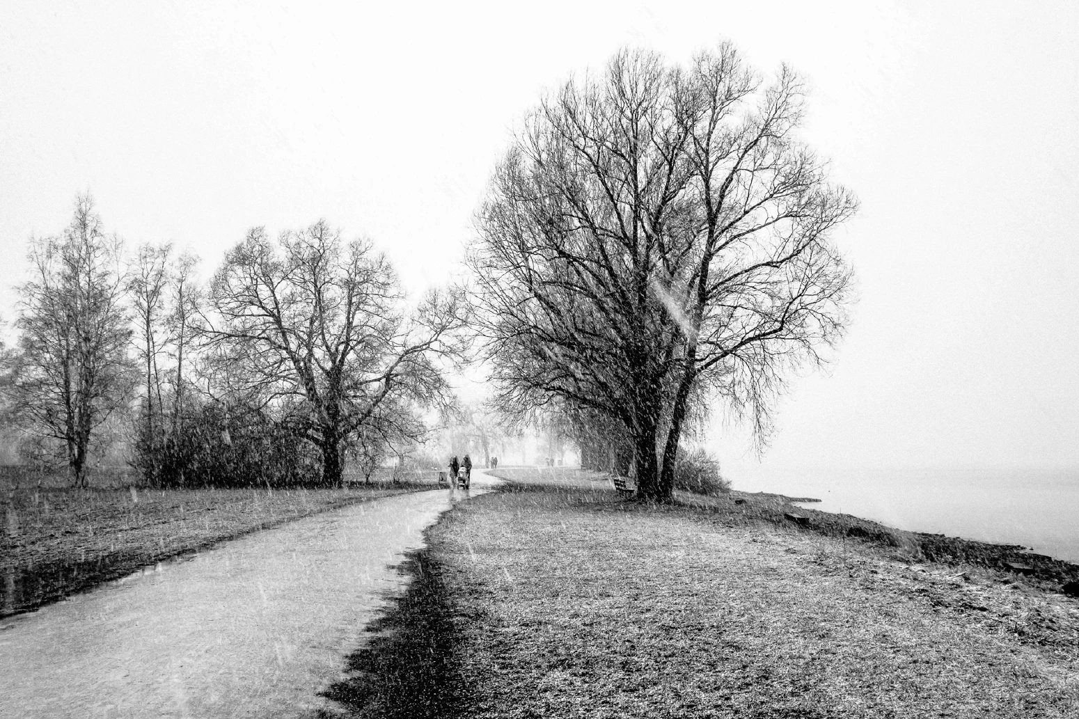 SCHNEEFALL IM SEEBURGPARK #1